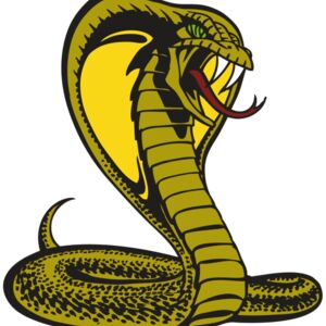 BAW SNAKE 02 RC Thumbnail