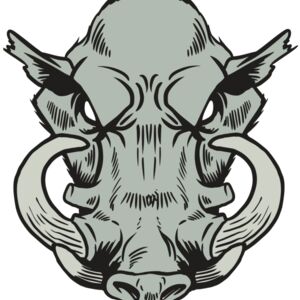 AR20 RAZORBACK 38 RQC Thumbnail