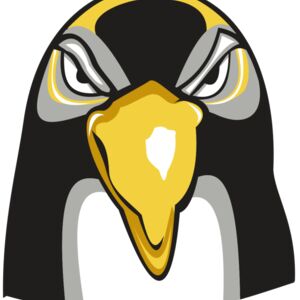 PENGUIN HD0503 RQC Thumbnail