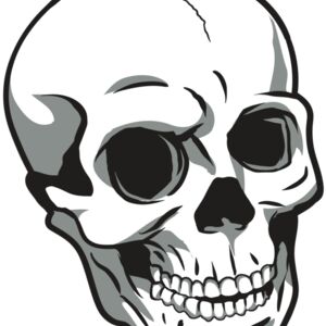 AR24 SKULL 14 RQC Thumbnail