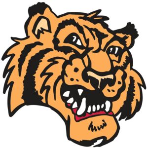 AR2 TIGER 02 RQC Thumbnail