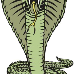 BAW SNAKE 15 RC Thumbnail