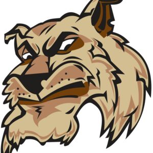 WILDCAT HD0501 RQC Thumbnail