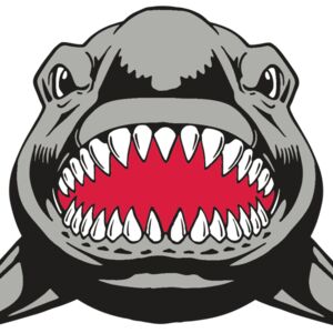 AR  SHARK 25 RC Thumbnail