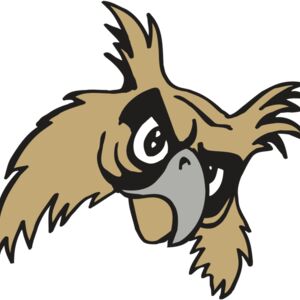 AR5 Owl 09 RQC Thumbnail