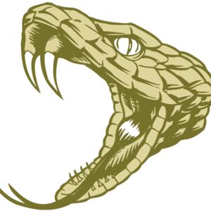 BAW SNAKE 11 RC Thumbnail