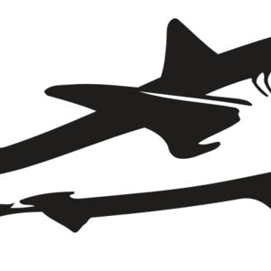 AR5 Shark 15 RQC Thumbnail