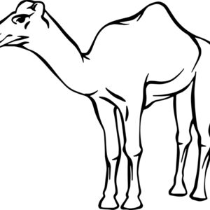 Camel   Clipart 2 Thumbnail