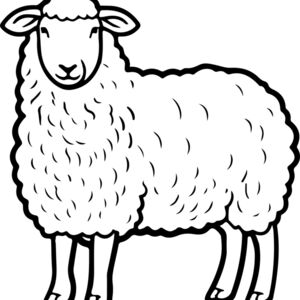 Lamb   Clipart 4 Thumbnail