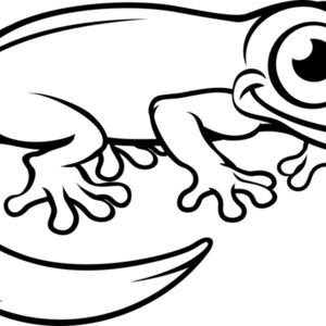 Newt   Clipart 3 Thumbnail