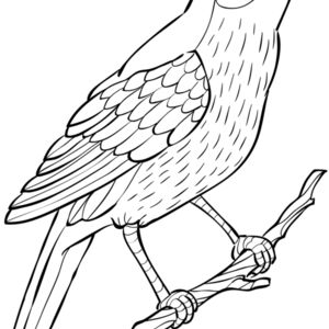 Nightingale   Clipart 2 Thumbnail