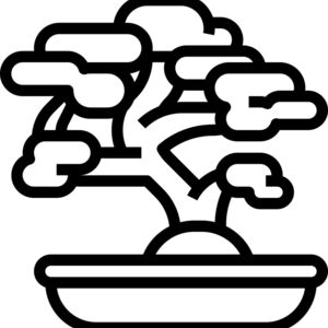Bonsai Tree Thumbnail