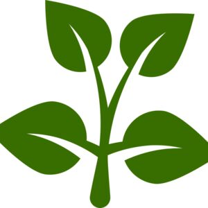 15 Leaves Thumbnail