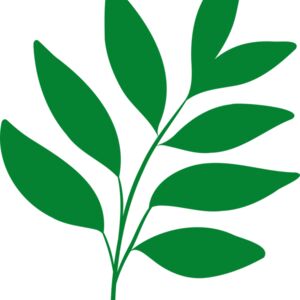17 Leaves Thumbnail