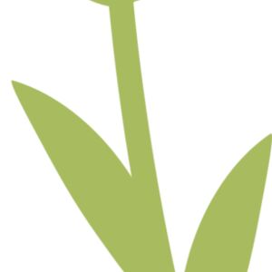 20 Flower Thumbnail