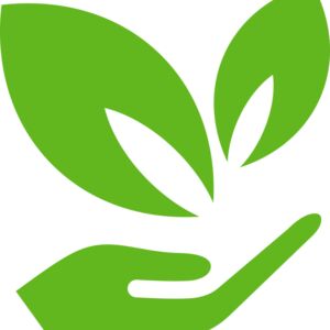 51 Leaves in hands Thumbnail