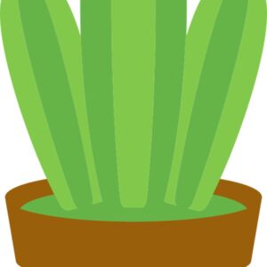 Cactus 1 Thumbnail