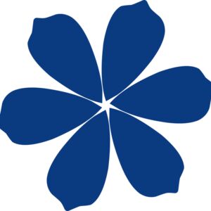 Flower 9 Thumbnail