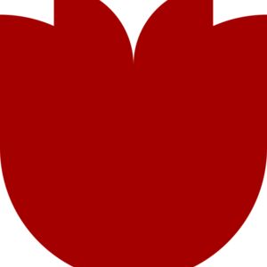 Flower 11 Thumbnail