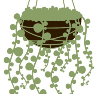 Hanging Plants 3 Thumbnail