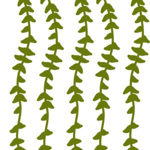 Hanging Plants 2 Thumbnail