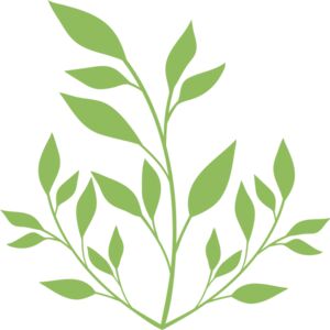 Leaves Thumbnail