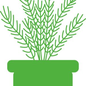 Herb Thumbnail