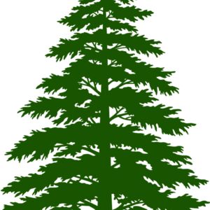 Tree Plant 3 Thumbnail