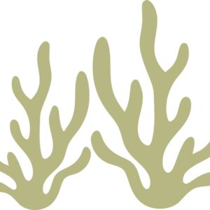 Sea Plants 2 Thumbnail