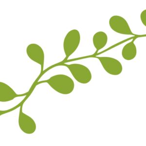 Leaves 13 Thumbnail