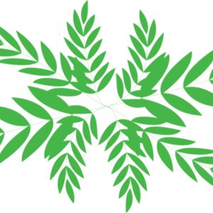 Leaves 3 Thumbnail