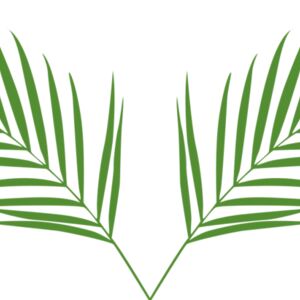 Leaves 2 Thumbnail
