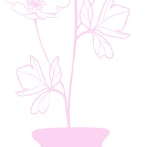 Flowers 7 Thumbnail