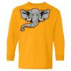 Heavy Cotton Youth Long Sleeve T-Shirt. Thumbnail