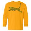 Heavy Cotton Youth Long Sleeve T-Shirt. Thumbnail