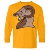 Heavy Cotton Youth Long Sleeve T-Shirt. Thumbnail