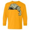 Heavy Cotton Youth Long Sleeve T-Shirt. Thumbnail