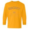 Heavy Cotton Youth Long Sleeve T-Shirt. Thumbnail