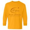 Heavy Cotton Youth Long Sleeve T-Shirt. Thumbnail