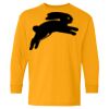 Heavy Cotton Youth Long Sleeve T-Shirt. Thumbnail
