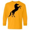 Heavy Cotton Youth Long Sleeve T-Shirt. Thumbnail