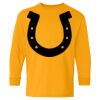 Heavy Cotton Youth Long Sleeve T-Shirt. Thumbnail