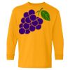 Heavy Cotton Youth Long Sleeve T-Shirt. Thumbnail