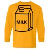 Heavy Cotton Youth Long Sleeve T-Shirt. Thumbnail