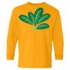 Heavy Cotton Youth Long Sleeve T-Shirt. Thumbnail