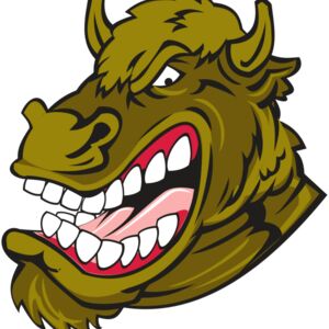 Buffalo Thumbnail